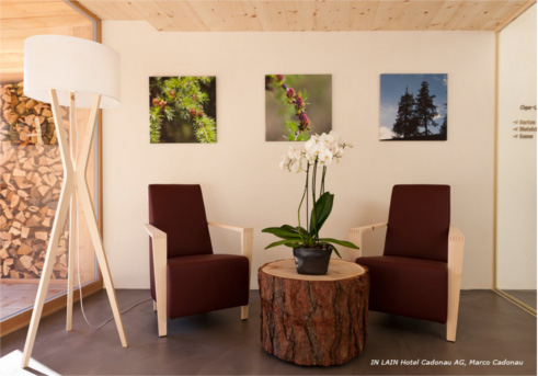 Genussmanufaktur IN LAIN Hotel Cadonau Innovationspreis Naturkalkfarben und -putze von HAGA Naturbaustoffe